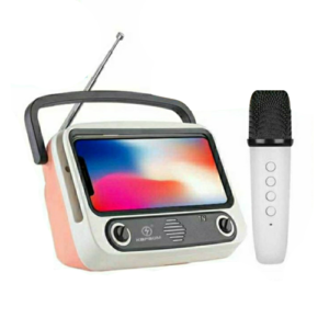 Caixa de Som Bluetooth com Microfone sem Fio Karaoke Kapbpm KA-TV300S